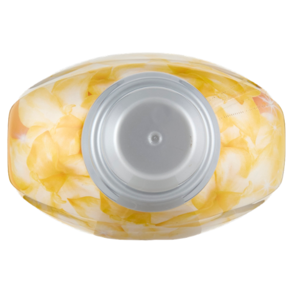 IL GIGANTE Ammorbidente Concentrato Vaniglia 1 L