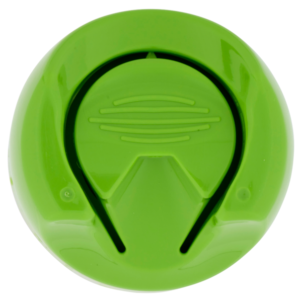 Citrosil Home Protection - Spray Disinfettante con essenze di agrumi, 300 ml