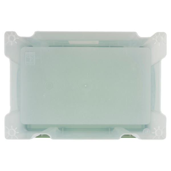 Selex Contenitore con Coperchio a Scatto Verde Cammeo 14 L