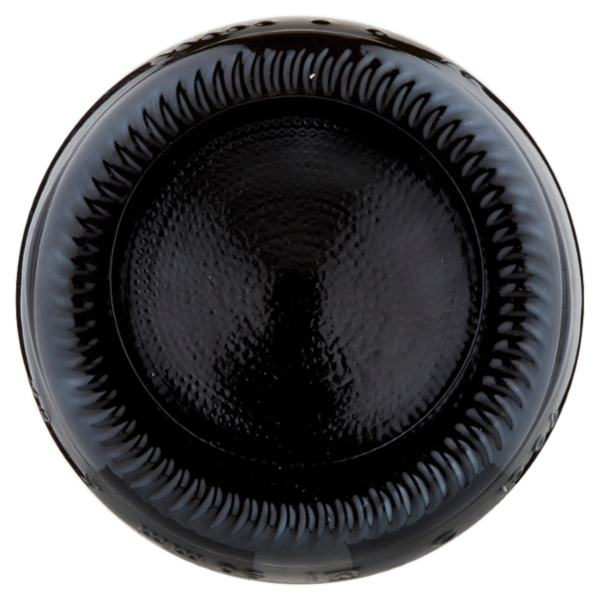 Chiarli Lambrusco Salamino di Santa Croce DOC Secco 750 ml