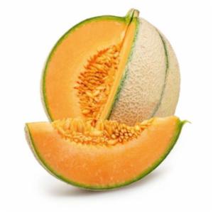 Melone Retato