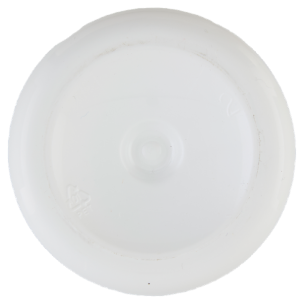 Fochista Verdefuoco Bio-Accendifuoco per Barbecue 750 ml