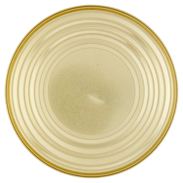 Coelsanus Olive Nere Denocciolate in salamoia 4000 g