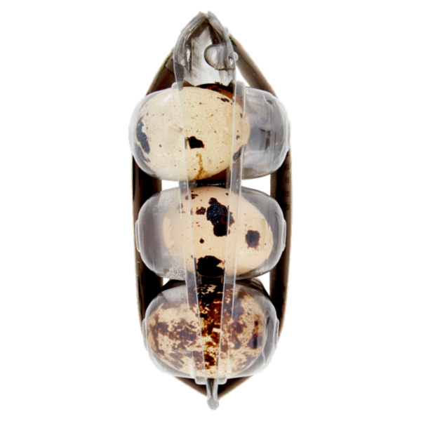 Quaja Veneta 18 uova di Quaglia Fresche 200 g