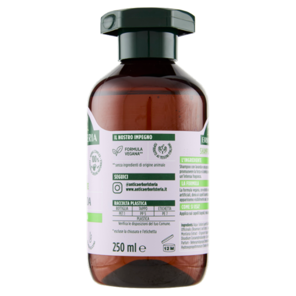 Antica Erboristeria Shampoo Illuminante Lavanda Capelli normali 250 ml