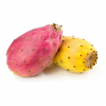 Fichi D'india Cal 16