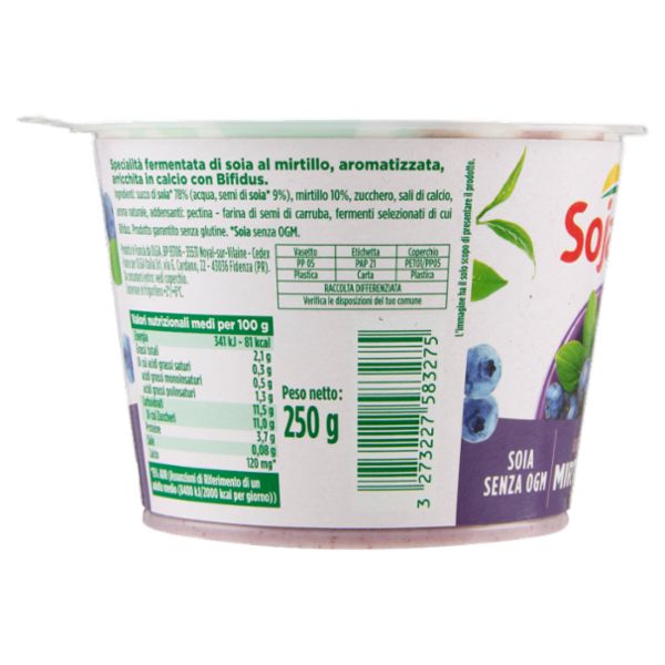 Sojasun Bifidus Mirtillo 250 g