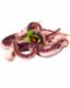 Tentacoli Di Totano