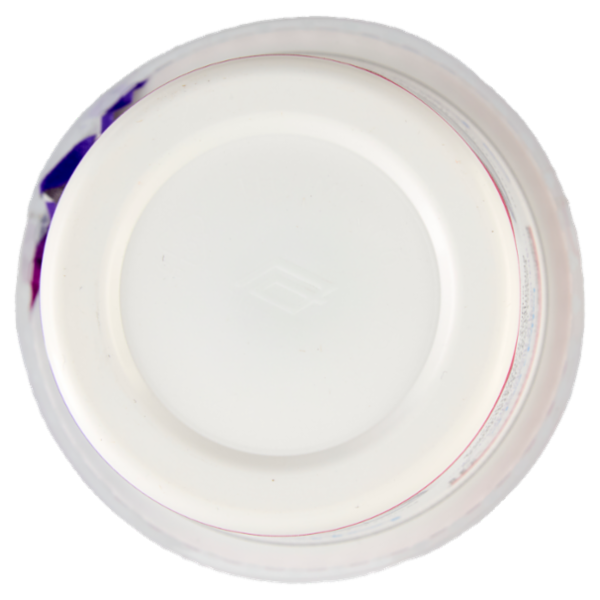 lattebusche yogurt magro Bianco 500 g