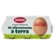Selex 6 Uova Fresche Grandi da Allevamento a Terra Categoria A