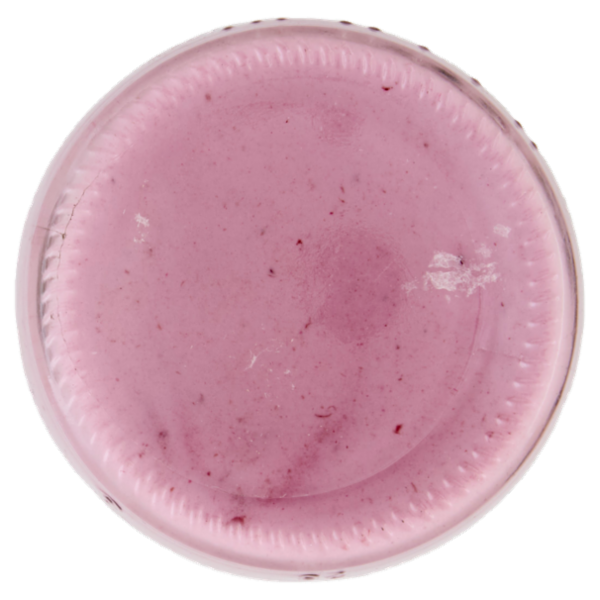 Selex Natura Chiama Yogurt Intero Mirtillo Nero Biologico 150 g