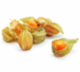 Physalis Confezionato 100 g