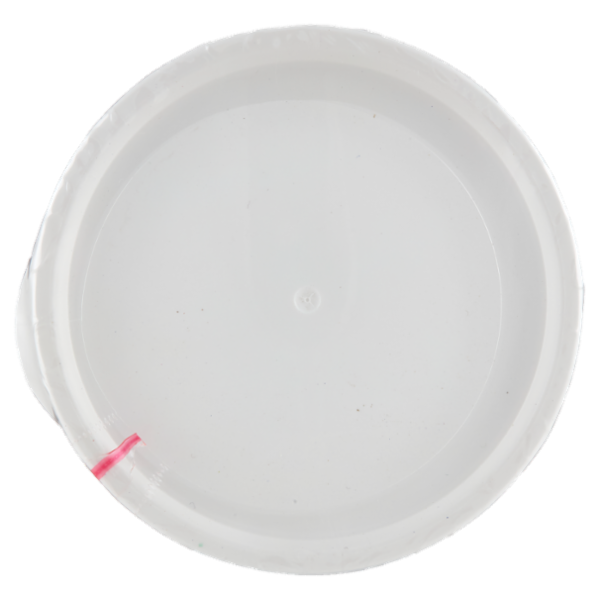 PANEANGELI decora con Zucchero al Velo 200 g