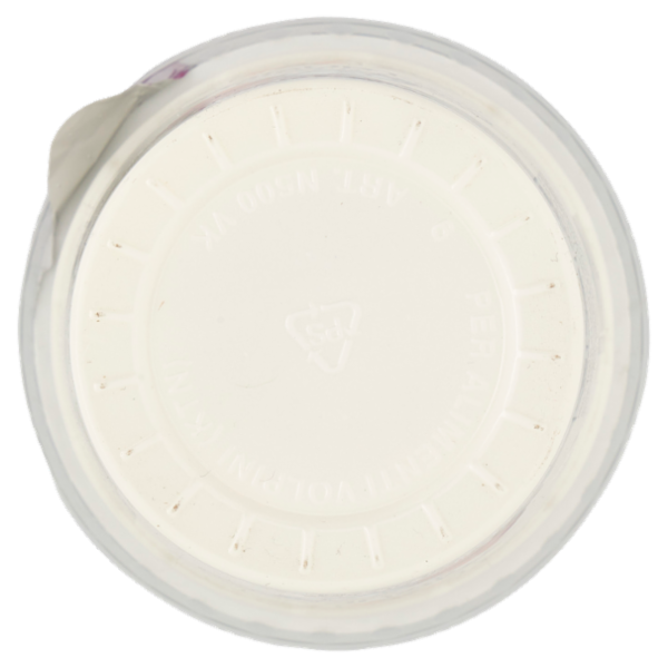 Sterzing Vipiteno Yogurt intero Fior di Latte 500 g