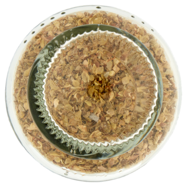 La Drogheria 1880 Bio Origano Foglie 8 g