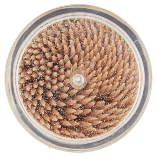 Selex Stuzzicadenti Doppia Punta in Betulla 250 pezzi