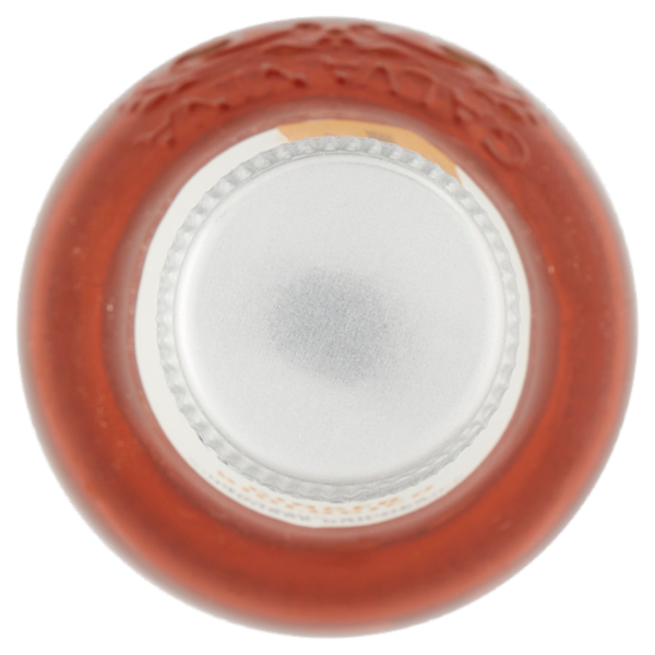 Galvanina Ginger Biologico 355 ml