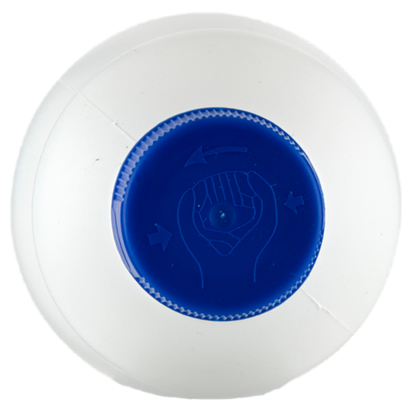 IL GIGANTE Ammoniaca Classica 1 L