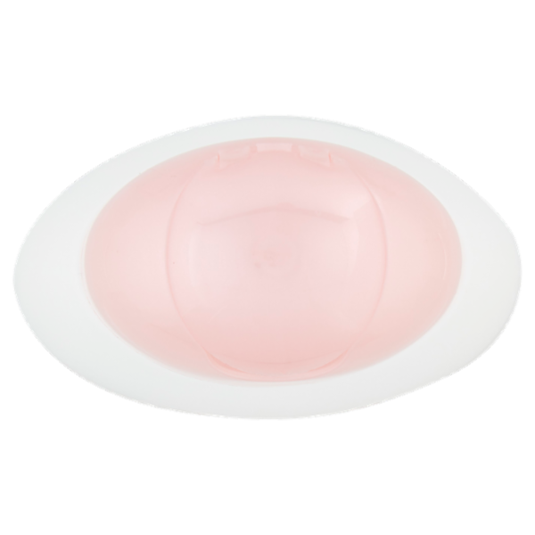 Delice Day by Day Detergente Intimo fiori di mandorlo 250 ml