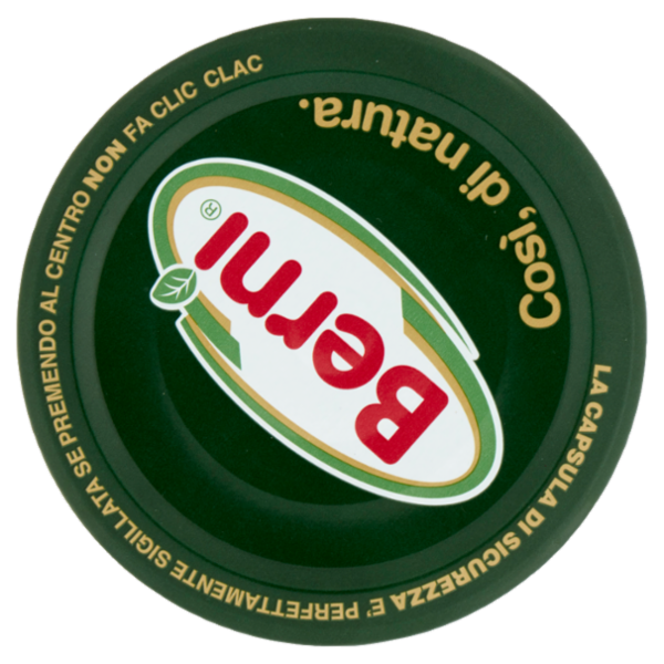 Berni Funghi Champignon sottolio 290 g