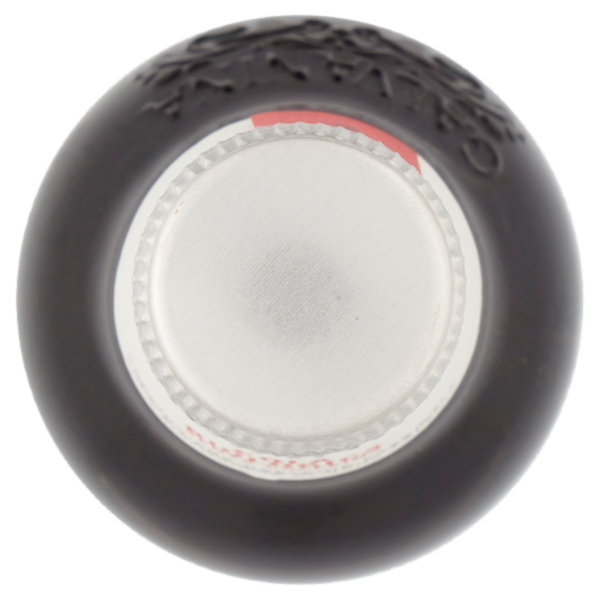 Galvanina Cola Biologica Senza Caffeina 355 ml