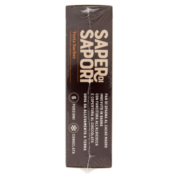 Selex Saper di Sapori Torta Sacher Congelata 450 g