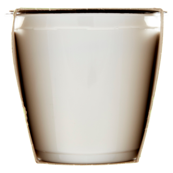 Consilia Yogurt Intero Pistacchio 2x125 g