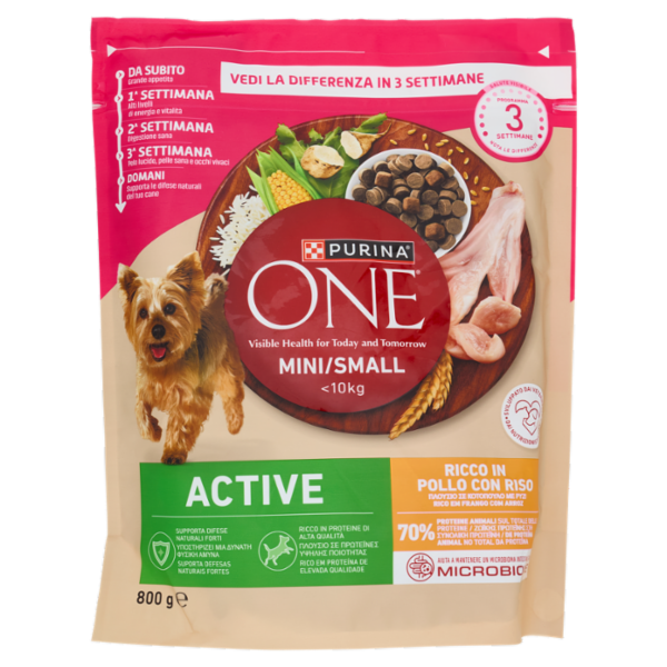 PURINA ONE Mini/Small Active Pollo e Riso 800g