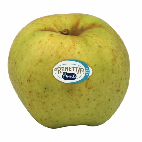 MELE RENETTA DEL CANADA - VAL DI NON - DOP -