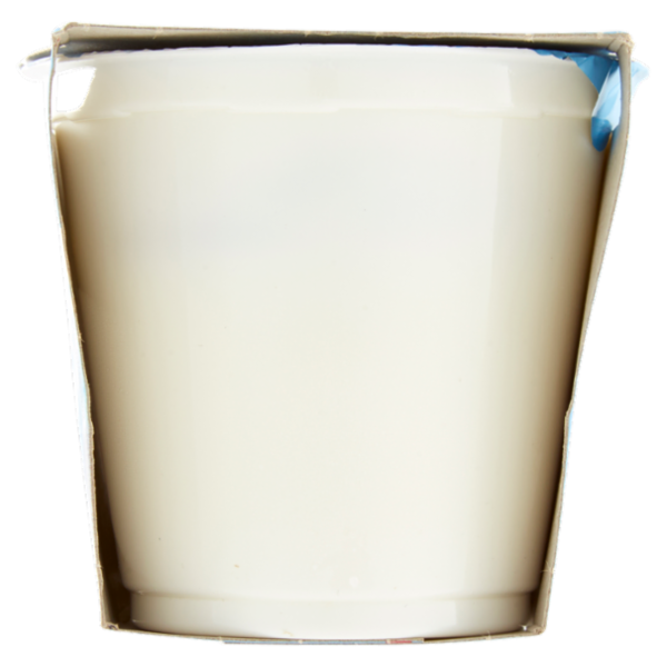 Selex Yogurt Magro Bianco 2x125 g