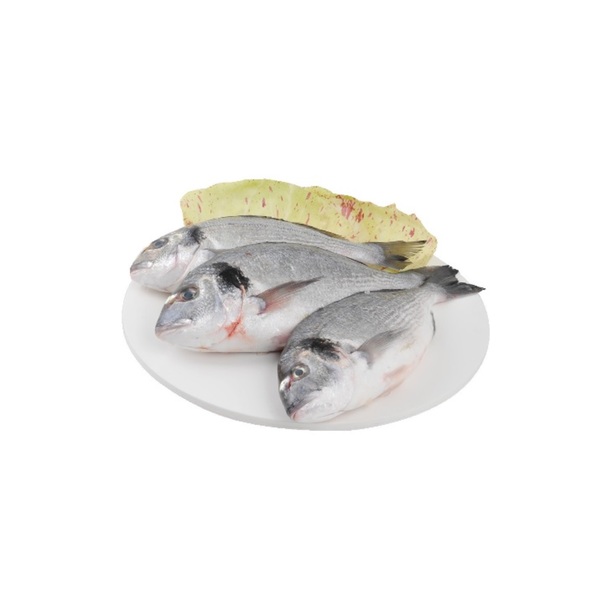 Orata 600/800 Allevato Grecia