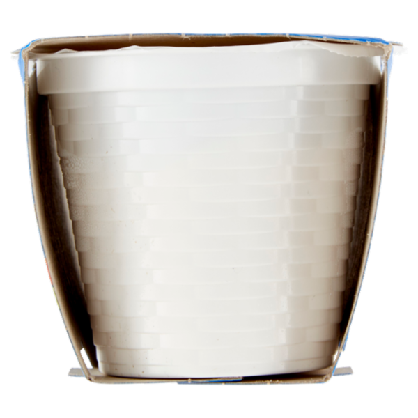 Selex Ricottine 2x100 g