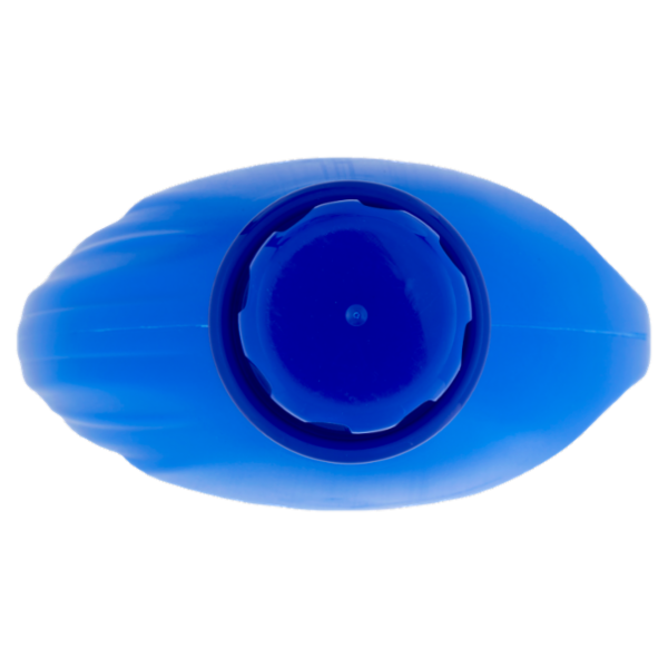 Napisan Additivo Liquido Disinfettante 2,2 L