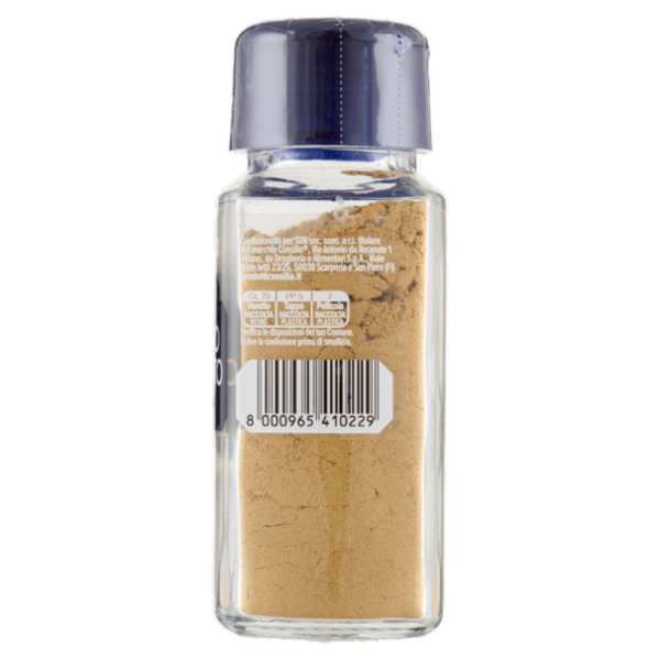 Consilia Zenzero Macinato 40 g