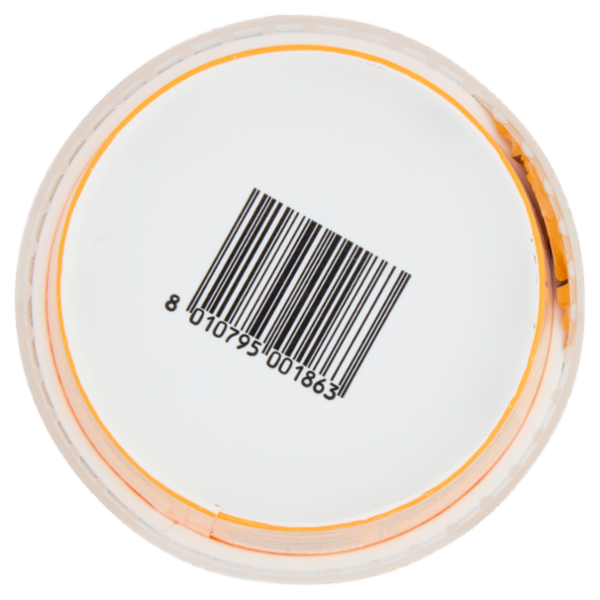 Fattoria Scaldasole Caramello yogurt biologico 250 g