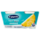 IL GIGANTE Yogurt Magro Ananas 2 x 125 g