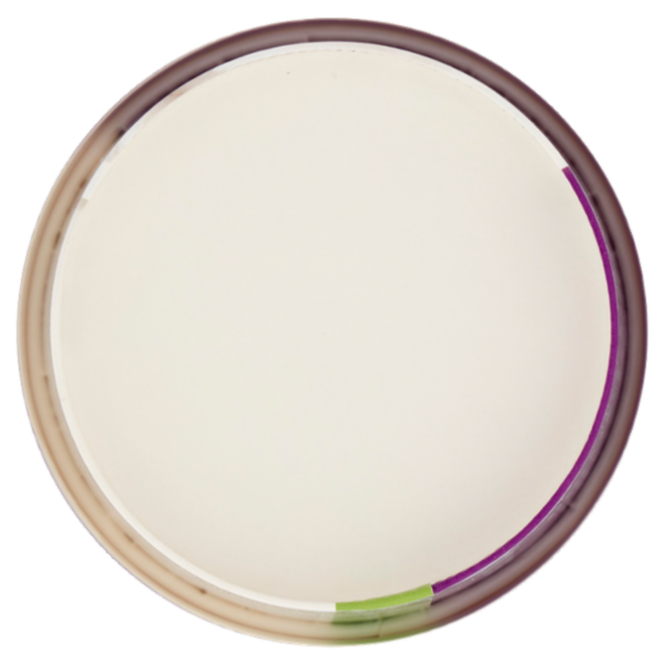 Meran Yogurteria Merano Frozen Yogurt Frutti di Bosco 250 g