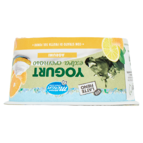 Meran Yogurt extra cremoso Agrumi 150 g