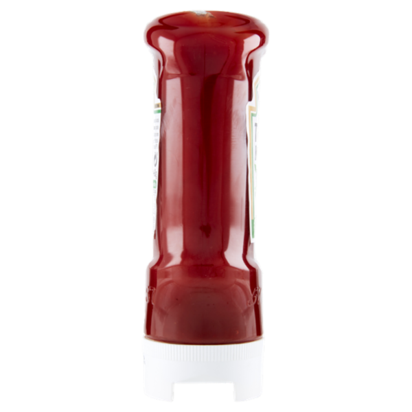 Heinz Tomato Ketchup 460 g