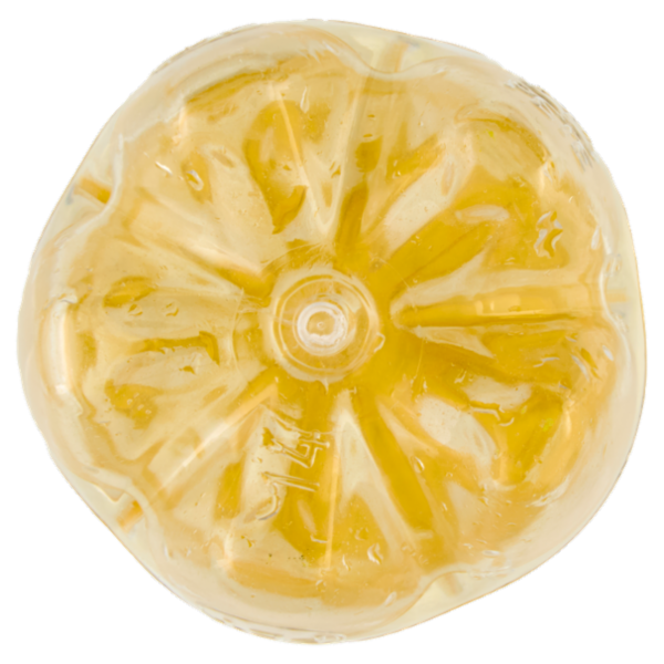 Schweppes Tonica PET 0,25 L