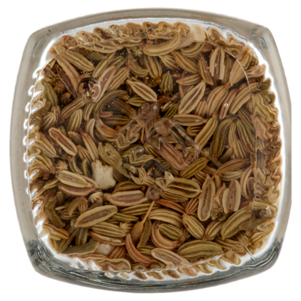 Selex Finocchio Semi 40 g