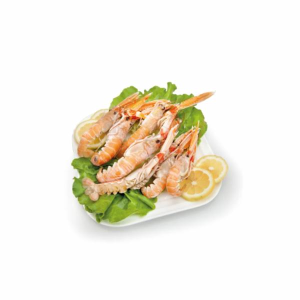 Scampi 10/15