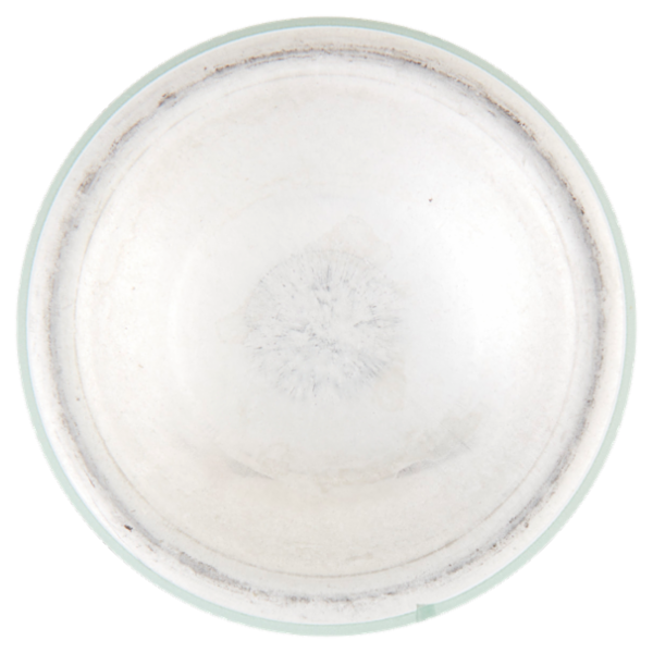 infasil deo-green Fragranza Fresca 125 ml