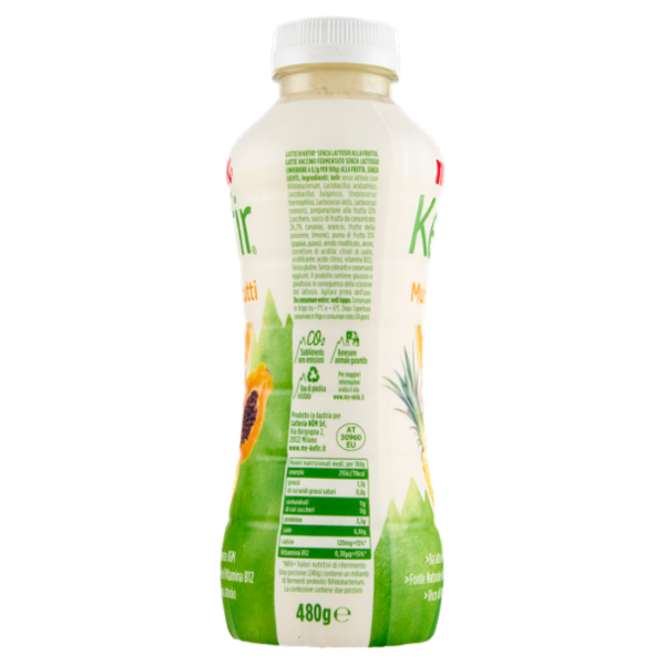 Milk Kefir Multifrutti 480 g
