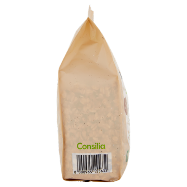 Consilia Fiocchi di Avena Biologici 500 g