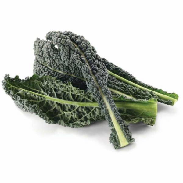 Cavolo Nero