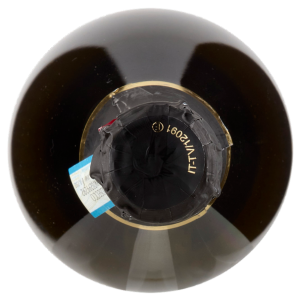 Cantina Trevigiana Prosecco DOC Treviso Extra Dry 0,75 l