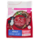 PURINA ONE Medium/Maxi Adult Manzo e Riso 2,5kg