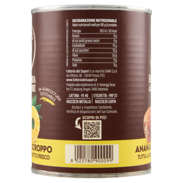 Fattoria dei Sapori Ananas allo Sciroppo 565 g