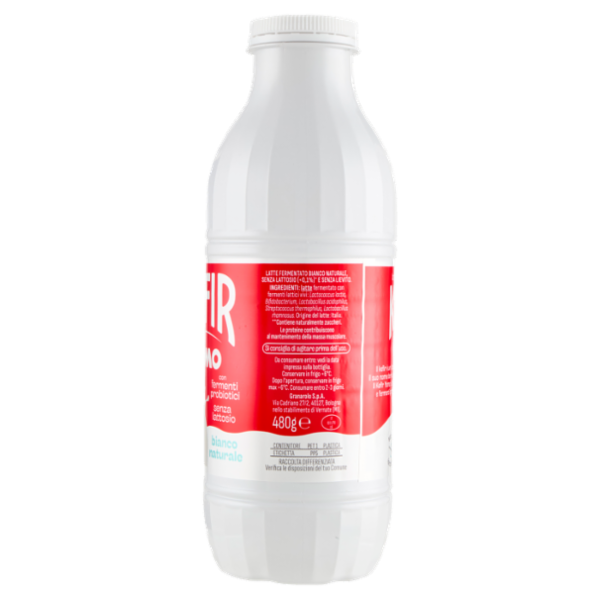 Yomo Kefir bianco naturale 480 g